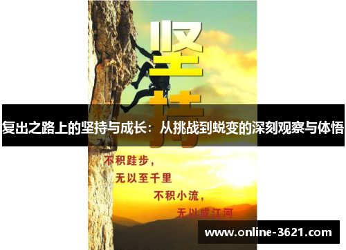 复出之路上的坚持与成长：从挑战到蜕变的深刻观察与体悟